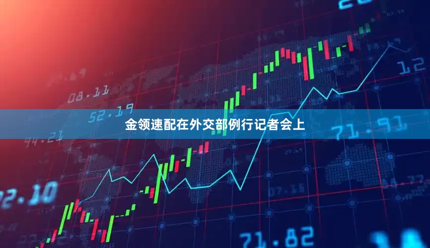 金领速配在外交部例行记者会上