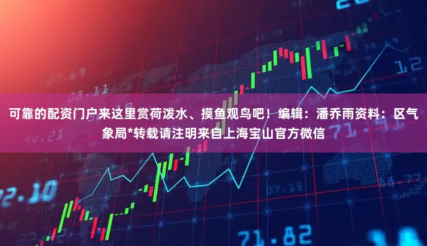 可靠的配资门户来这里赏荷泼水、摸鱼观鸟吧！编辑：潘乔雨资料：区气象局*转载请注明来自上海宝山官方微信
