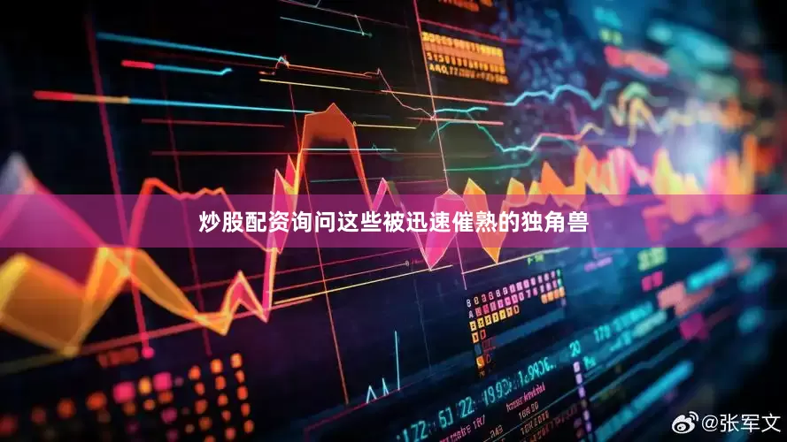 炒股配资询问这些被迅速催熟的独角兽