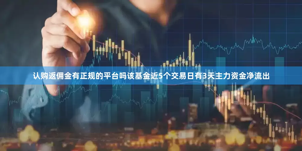 认购返佣金有正规的平台吗该基金近5个交易日有3天主力资金净流出