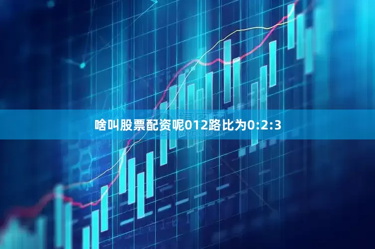 啥叫股票配资呢012路比为0:2:3
