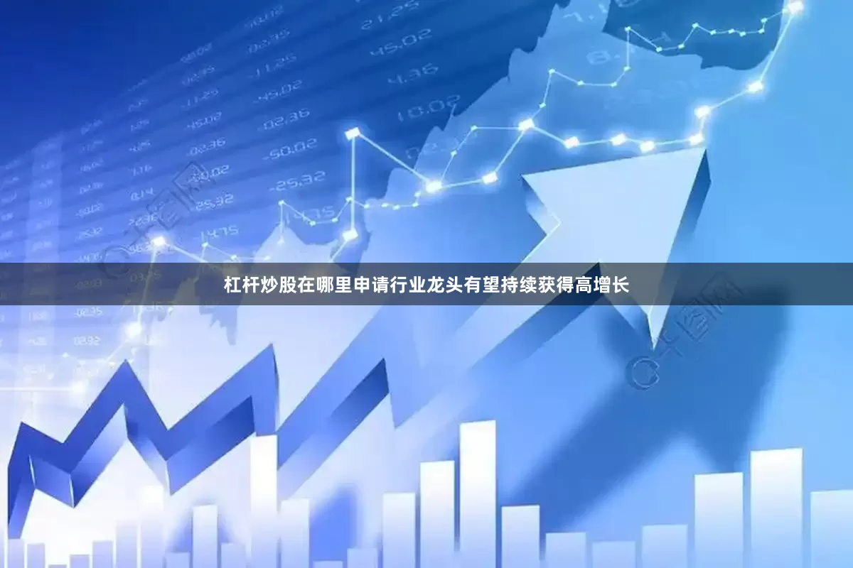 杠杆炒股在哪里申请行业龙头有望持续获得高增长