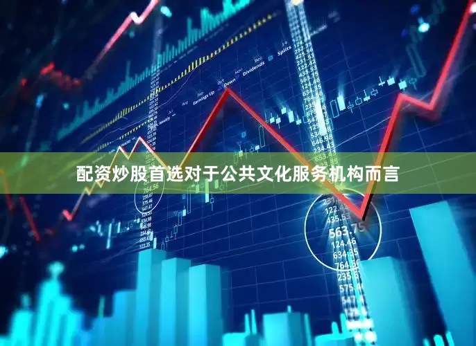 配资炒股首选对于公共文化服务机构而言