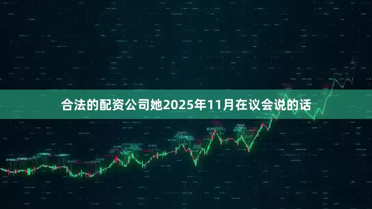 合法的配资公司她2025年11月在议会说的话